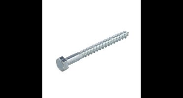 Proftec houtdraadbout [50x] - VZ - SW-10 - 6x60mm