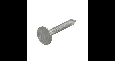 Proftec asfaltnagel [1kg] - VZ - platkop - 3.0x20mm