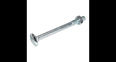 Proftec slotbout [25x] - VZ - M10x120mm