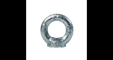 DX oog-/ringmoer - 582-12E - verzinkt - M12