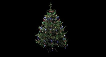 Kerstverlichting - cascade - 232 leds - gekleurd - H220 cm - buiten - transformator