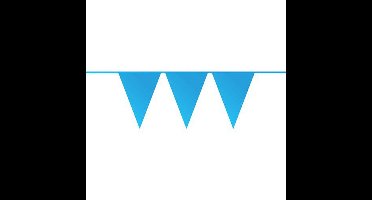 Vlaggenlijn - blauw - 10 meter - kunststof - slingers