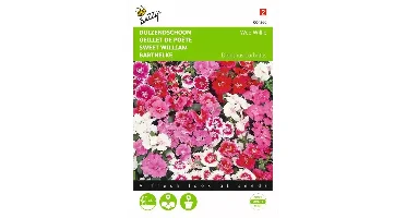 Dianthus, Duizendschoon Wee Willie gemengd