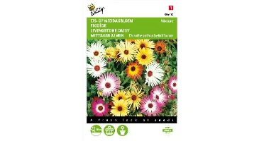 Dorotheanthus, IJsbloem kleurenmengsel
