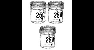 3x stuks inmaakpotten/voorraadpotten 0,25L glas met beugelsluiting