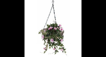Hangmand - D30 cm - rotan gevlochten - hangende plantenbak - aan ketting - hanging basket