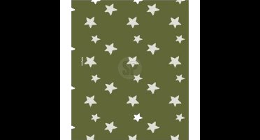 H&S Collection Polyester fleece deken - 130 x 170 cm - marine groen met sterren