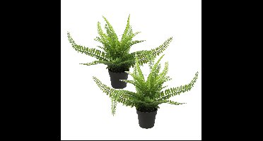 Kunstplant Varen Monilophyta in bloempot - 2x - Groen - 25 x 36 cm