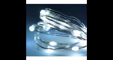 Lumineo draadverlichting - 20 led lampjes - helder wit - 95 cm - lichtdraad - zilver
