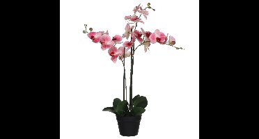 Mica Decorations Orchidee bloem kunstplant - roze - H75 x B50 cm