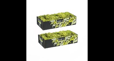 Mica Decorations Rendiermos - 2x pakjes - 500 gram - lichtgroen - hobby mos