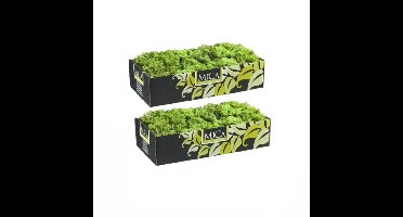 Mica Decorations Rendiermos - 4x pakjes - 500 gram - groen - hobby mos