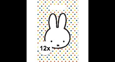 Nijntje thema uitdeelzakjes/snoepzakjes - 12x stuks - 30 x 21 cm - Feestzakjes - Kinderfeestje