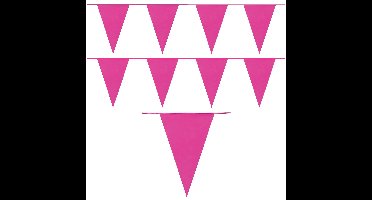 Party Vlaggenlijn puntvlaggetjes - 2x - kunststof - fuchsia - 10 meter - Slinger - versiering
