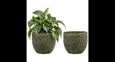 Plantenpot/bloempot Lava Stone - Set van 2x stuks - groen - D17 x H15 cm - binnen