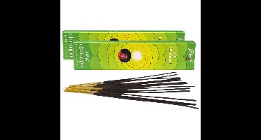 Satya Nag Champa wierook stokjes - 2x pakje van 12 stuks - Meditatie - 15 gram - geurstokjes - Zoet