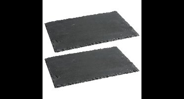 Serveerplankje voor hapjes/fingerfood? - 2x - 20 x 30 cm - Leisteen - borrelplank - tapasplank