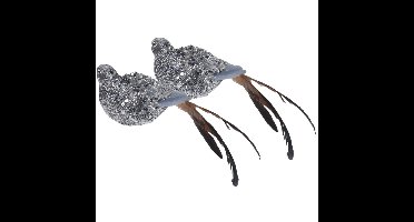 Zilveren decoratie vogeltjes - 2x - vogels - op clip - 25 cm