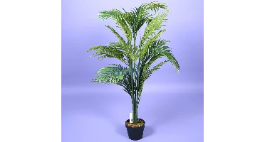 Areca palm - 120 cm