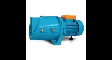 Beregeningspomp TP1100S PROF