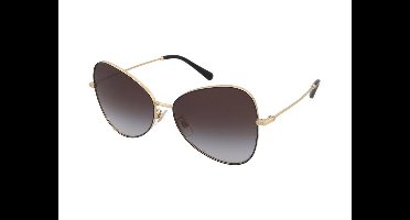 Zonnebrillen Dolce & Gabbana DG2274 13348G