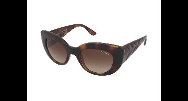 Zonnebrillen Vogue VO5480S W65613
