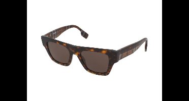 Zonnebrillen Burberry Ernest BE4360 399173
