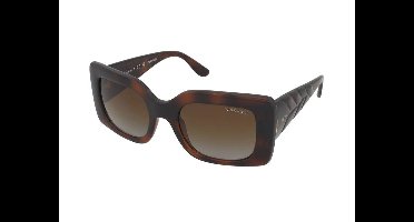 Zonnebrillen Vogue VO5481S 2386T5