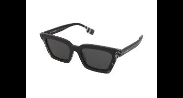 Zonnebrillen Burberry Briar BE4392U 405187