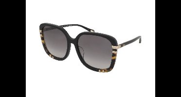Zonnebrillen Chloe CH0106SA 002