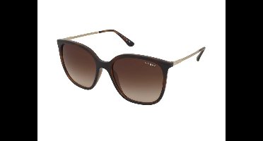 Zonnebrillen Vogue VO5564S 238613