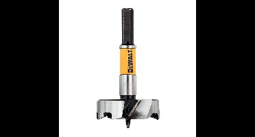 DeWALT 54mm Cilinderkopboor - DT4583
