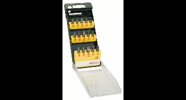 Bosch Accessories Promoline 2607019453 Bitset 15-delig Plat, Kruiskop Phillips, Kruiskop Pozidriv, Binnen-zesrond (TX), Inbus Incl. bithouder