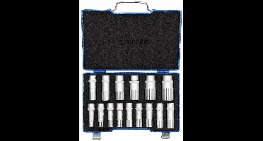 Gedore 2190214 2190214 Dopsleutelset Metrisch 1/2 (12,5 mm) 15-delig