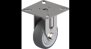 Blickle BPXA-PATH 50KFD Bokwiel Wieldiameter: 50 mm Draagvermogen (max.): 75 kg 1 stuk(s)