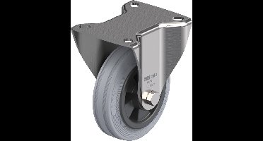 Blickle BX-VPP 100XR-SG Bokwiel Wieldiameter: 100 mm Draagvermogen (max.): 70 kg 1 stuk(s)