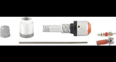 KS Tools 149.1030 RDKS / TPMS serviceset voor bandenspanningscontrolesystemen 30