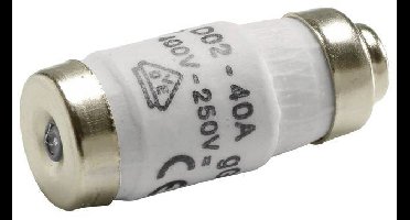 Hager LE1840 Diazed zekering Afmeting zekering: D02 40 A 400 V 10 stuk(s)