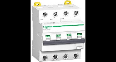 Schneider Electric A9D52425 Aardlekschakelaar/zekeringautomaat 0.3 A