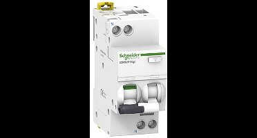 Schneider Electric A9D48616 Aardlekschakelaar/zekeringautomaat 0.3 A