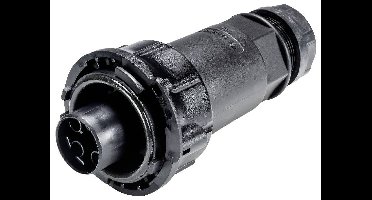 Wieland Electric 97.041.4053.1 Steekverbinder