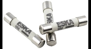 ESKA 632.411 Multimeterzekering (Ø x l) 6.30 mm x 32 mm 250 mA 1000 V Supersnel -FF- Inhoud 1 stuk(s)