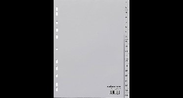 Durable 6522 Register DIN A4 1-20 Polypropyleen Grijs 20 tabbladen Bedrukte tabs 652210