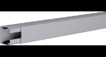 Hager LF4004007030 Kabelgoot Kabelgoot voor elektrische installaties (l x b x h) 2000 x 40 x 40 mm Steen-grijs 1 stuk(s)