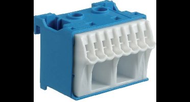 Hager KN10N HAGER KN10N blauw - wit aansluitblok Klemblok Meerdere kleuren 63 A 1 stuk(s)