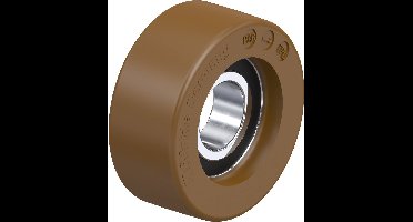 Blickle FPU 60x25/20-12K Geleidingsrol Wieldiameter: 60 mm Draagvermogen (max.): 100 kg 1 stuk(s)
