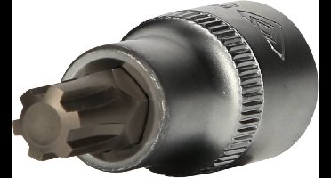 Brilliant Tools BT022725 BT022725 RIBE Verwisselbare kop 1/2 M10 1/2 (12,5 mm)