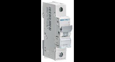 Hager MCN102 MCN102 Zekeringautomaat 1-polig 2 A 400 V