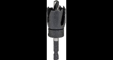 Bosch Accessories 2609256D04 Gatenzaag 48 mm 1 stuk(s)