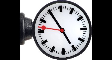 Viessmann Modelltechnik H0 Stationsklok Enkel Kant-en-klaar model 1383 1 stuk(s)
